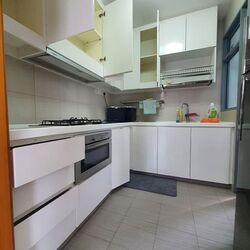 Viz At Holland (D10), Condominium #604963611